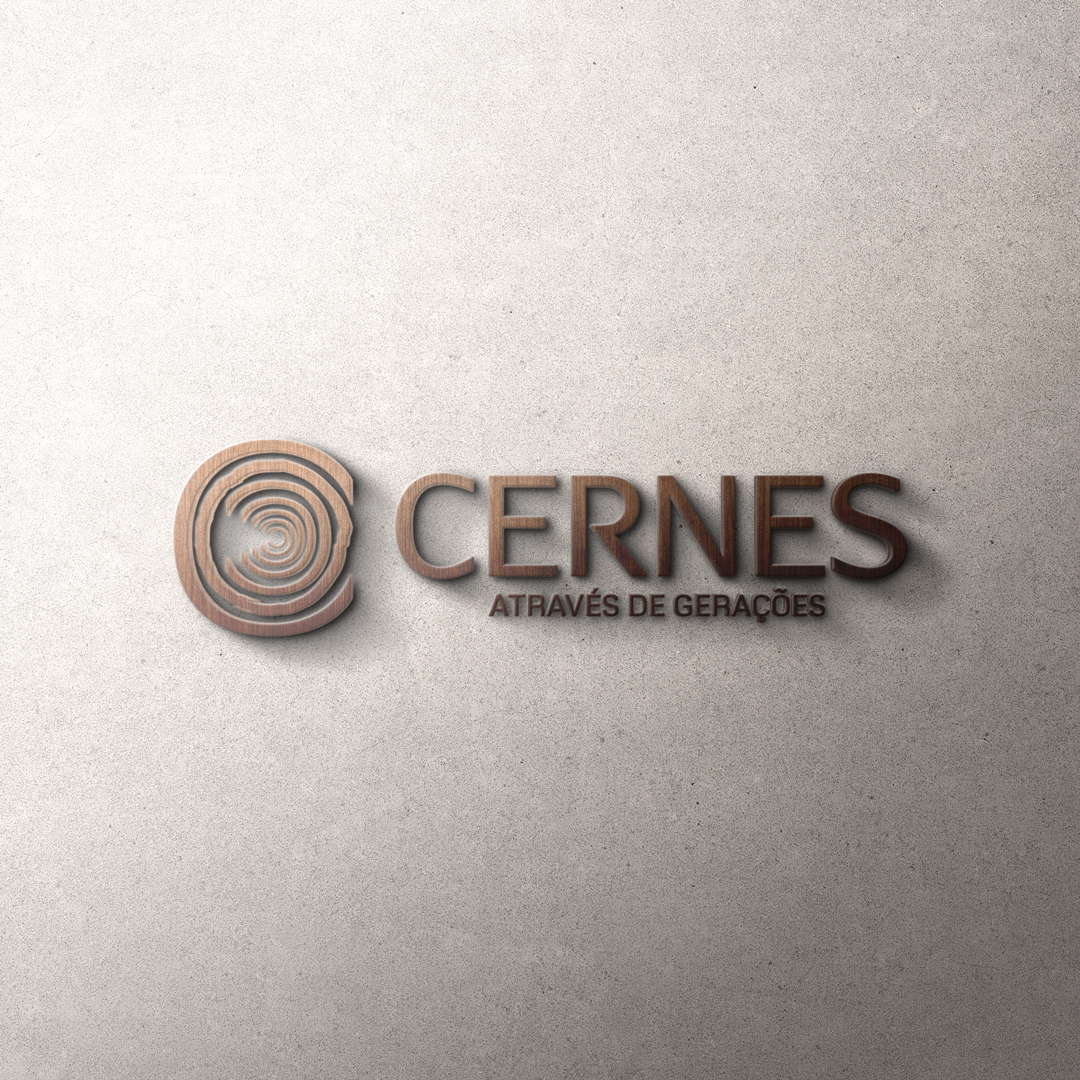 4-apresentacao-logo-cernes.png (2.12 MB)